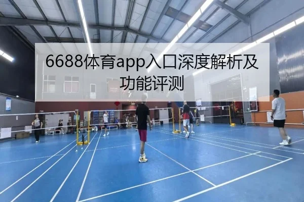 6688体育app入口深度解析及功能评测