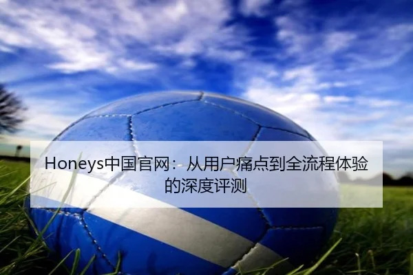Honeys中国官网：从用户痛点到全流程体验的深度评测